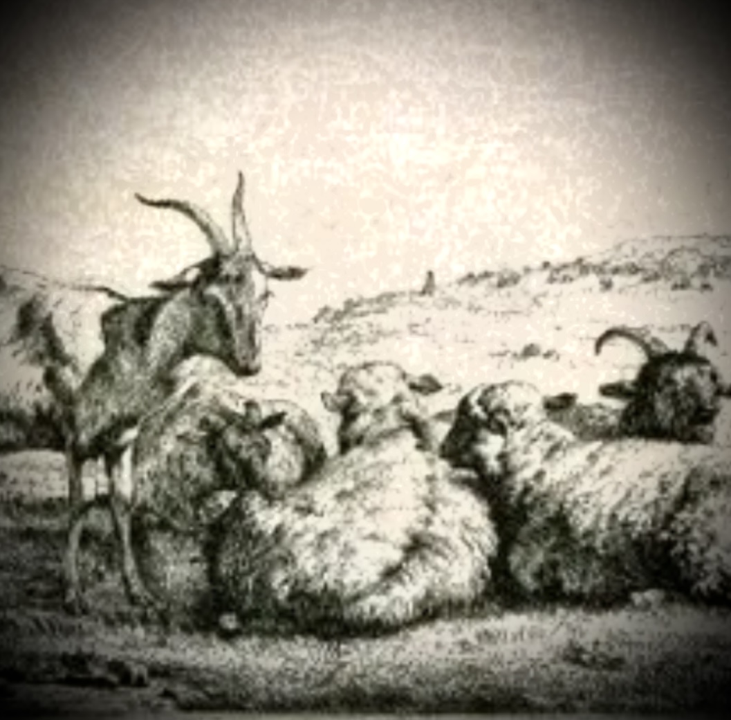 Kenites Deep Well Bible Studies